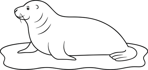 Seal on Shore Peaceful Rest Vector Illustration of Marine Life Serenity
