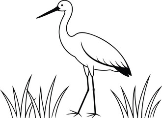 Stork Standing Proudly Amidst Wetland Beauty Vector Image
