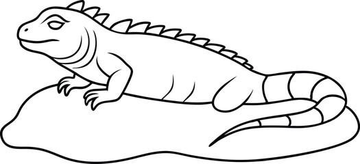 Lively Iguana Relaxing on a Sunlit Rock Vector Art
