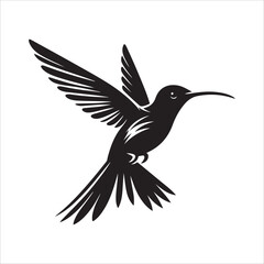 Fototapeta premium Humming bird Vector Art Illustration