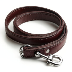 Dog Leash And Collar Isolated