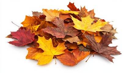 Fototapeta premium Pile of Colorful Autumn Leaves