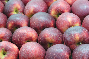 A bunch of red apples with a few green spots. The apples are shiny and look fresh. Concept of abundance and freshness