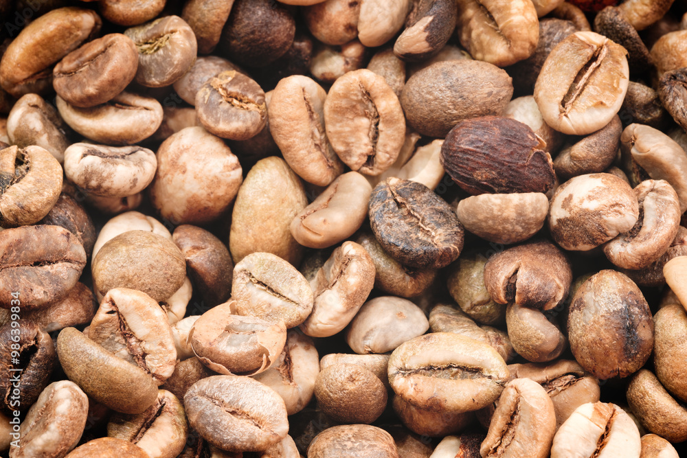 Poster A close up of coffee beans with a brownish color. The beans are small and have a rough texture