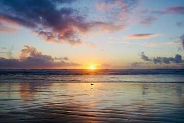 Naklejka premium Sunset at Ocean Beach