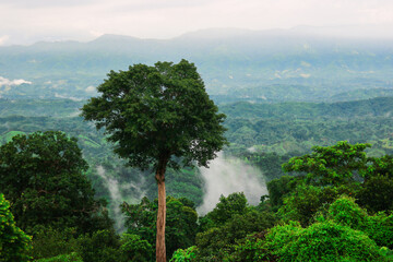 Sajek Valley Mountain Morning View at Sajek Rangamati, Chattogram, Bangladesh