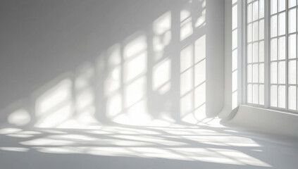 Obraz premium realistic and minimalist blurred natural light windows shadow overlay on wall paper texture abstract background minimal abstract light white background for product presentation