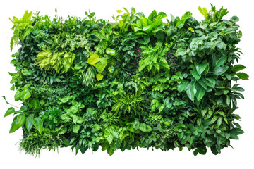 Indoor vertical garden system, sustainable living wall, vibrant greenery,Isolated on transparent background.