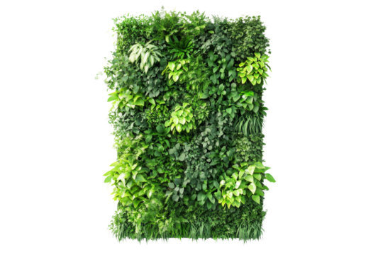 Wallmounted vertical garden system, modular and scalable, ecoconscious design, on solid white background, single object.,,Isolated on transparent background