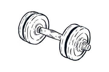 Dumbbell hand drawn line drawing vector illustration