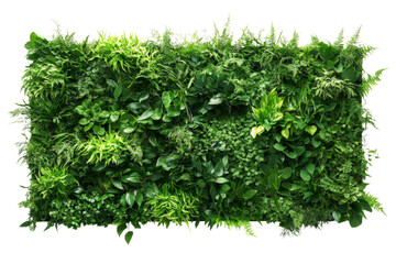 Fototapeta premium Indoor vertical garden system, sustainable living wall, vibrant greenery,Isolated on transparent background.