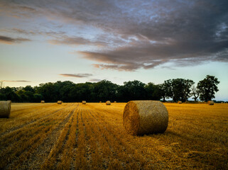 Fields of Circular Hay Bales in the Suffolk Countryside
