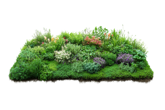 Lush green roof with vibrant plants, ecofriendly architecture ,Isolated on transparent background.