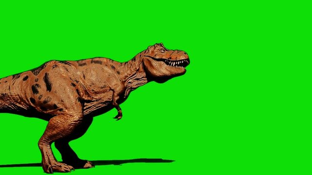 tyrannosaurus rex dinosaur illustration