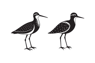Sandpiper silhouette vector illustration, Sandpiper silhouette vector, Sandpiper silhouette PNG.