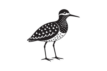 Sandpiper silhouette vector illustration, Sandpiper silhouette vector, Sandpiper silhouette PNG.