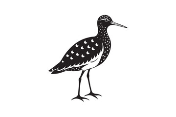Sandpiper silhouette vector illustration, Sandpiper silhouette vector, Sandpiper silhouette PNG.