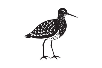 Sandpiper silhouette vector illustration, Sandpiper silhouette vector, Sandpiper silhouette PNG.