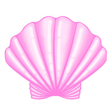 pink shell, pink shell isolated on white, seashel, scallop illustration, shell illustration, png of shell, scallop, shell, 3d shell, 3d scallop, sea element