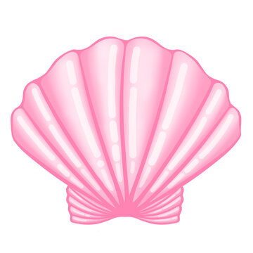 pink seashell isolated on white, pink shell, pink shell isolated on white, seashel, scallop illustration, shell illustration, png of shell, scallop, shell, 3d shell, 3d scallop, sea element, green