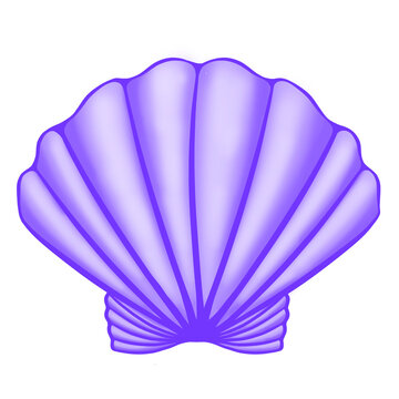 Purple shell, purple shell isolated on white, seashel, scallop illustration, shell illustration, shell design, scallop, shell, 3d shell, 3d scallop, sea, sticker, purple, decoration, element, tropical