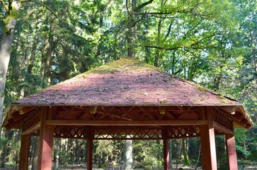 wooden gazebo for relaxing in the forest