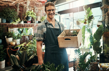 Crate, portrait and smile with man in plant nursery for development, growth or sustainability. Box, glasses and retail with happy florist person in small business startup for green interior decor