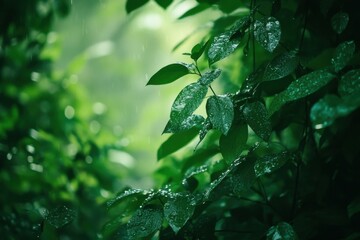 Vibrant foliage amidst scenic landscapes with a gentle blur in the background