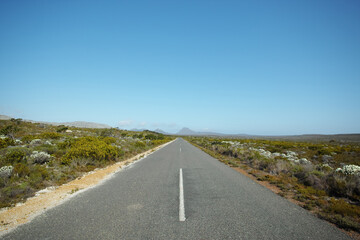 Naklejka premium Outdoor, rural and road with nature for trip, drive and travel on holiday in Kenya. Outside, adventure and tourism with sustainability, transportation and vacation with asphalt in mockup space
