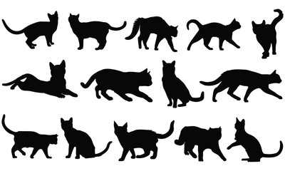 Vector silhouette of a cat on a white background