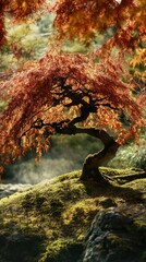 A vibrant Japanese Maple displays fiery red leaves against a soft backdrop