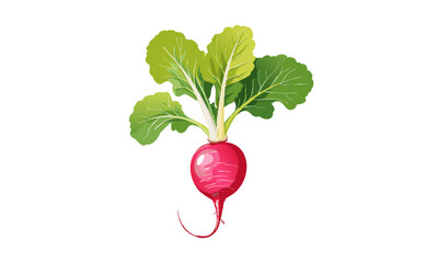 radish