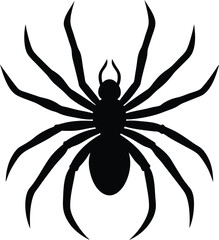 spider silhouette vector