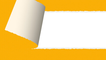 yellow sheet of torn  paper on transparent background, roolled paper strip with texture  isolated overlay design element