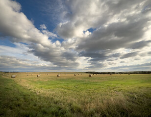 Kornfeld mit Himmel und Wolken