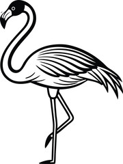 illustration of a flamingo