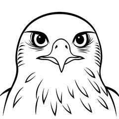 Hawk's Intense Gaze A Vector Art Close-Up