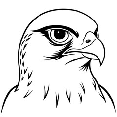 Hawk's Intense Gaze A Vector Art Close-Up