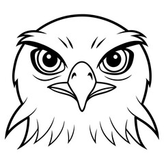 Hawk's Intense Gaze A Vector Art Close-Up