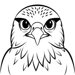 Hawk's Intense Gaze A Vector Art Close-Up