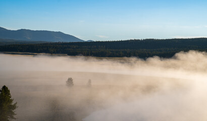 Hayden Valley Misty Morning