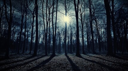 Obraz premium Dark night forest against full moon