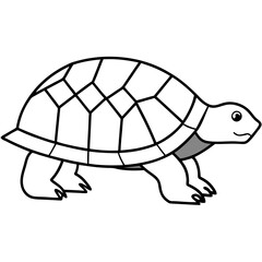 Slow-Moving Minimalist Box Turtle with Patterned Shell Vector
