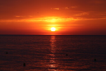 Fototapeta premium sunset over the sea