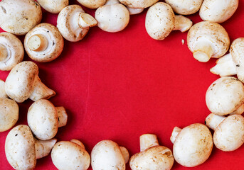 Mushrooms and champignons on a red background View from above. Delicious and healthy mushrooms are grown at home. Fresh raw mushroom. Food. Cooking. Veganism.