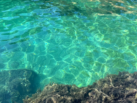 Ocean beautiful clear water with seaweed.