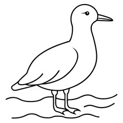 Minimalist Vector Seagull on the Shore