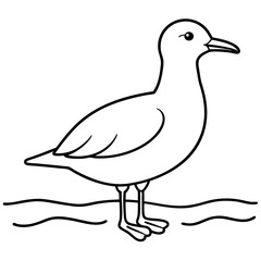 Minimalist Vector Seagull on the Shore