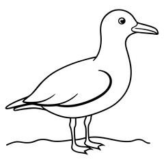 Minimalist Vector Seagull on the Shore