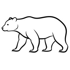 Polar bear vector